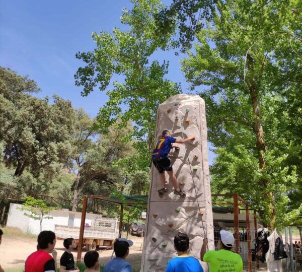 Actividades en grupo