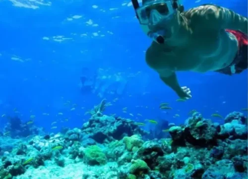Alquiler Snorkel