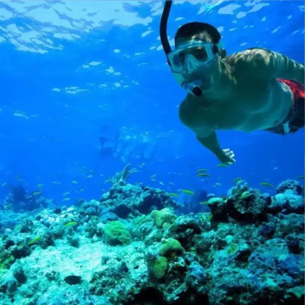 Alquiler Snorkel
