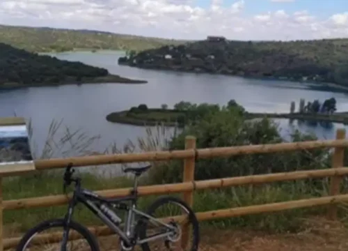 Alquiler de Bicicletas / 1 dia