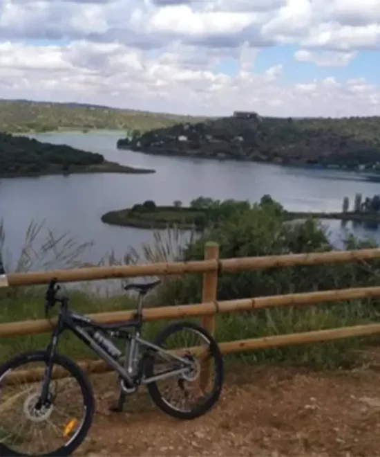 Alquiler de Bicicletas / 1 dia
