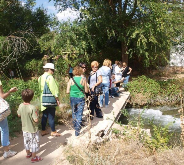 Actividades en grupo
